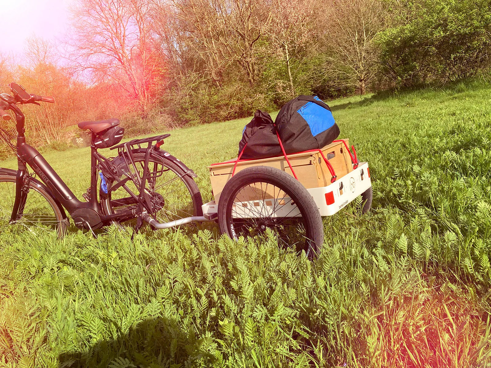 Der Crafty Lastenanhänger beim Picknick im Grünen.